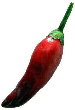 PepperShop Pfefferschote